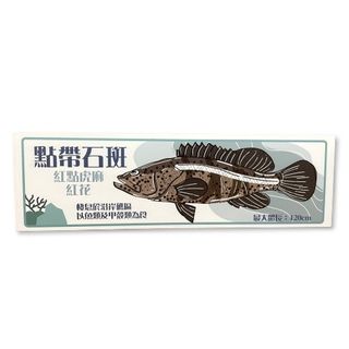 大口逆鈎鰺-魚類辨識